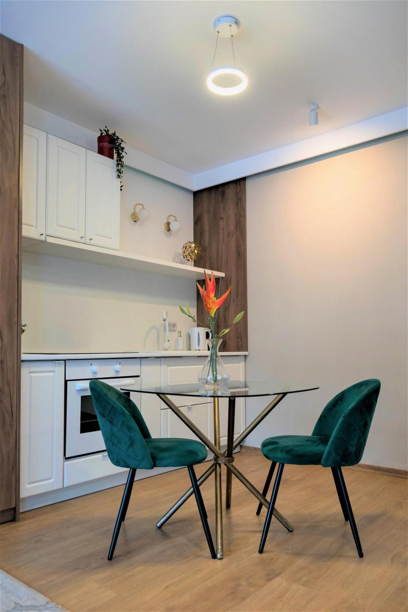 Studio No5 Green Sighişoara Extérieur photo